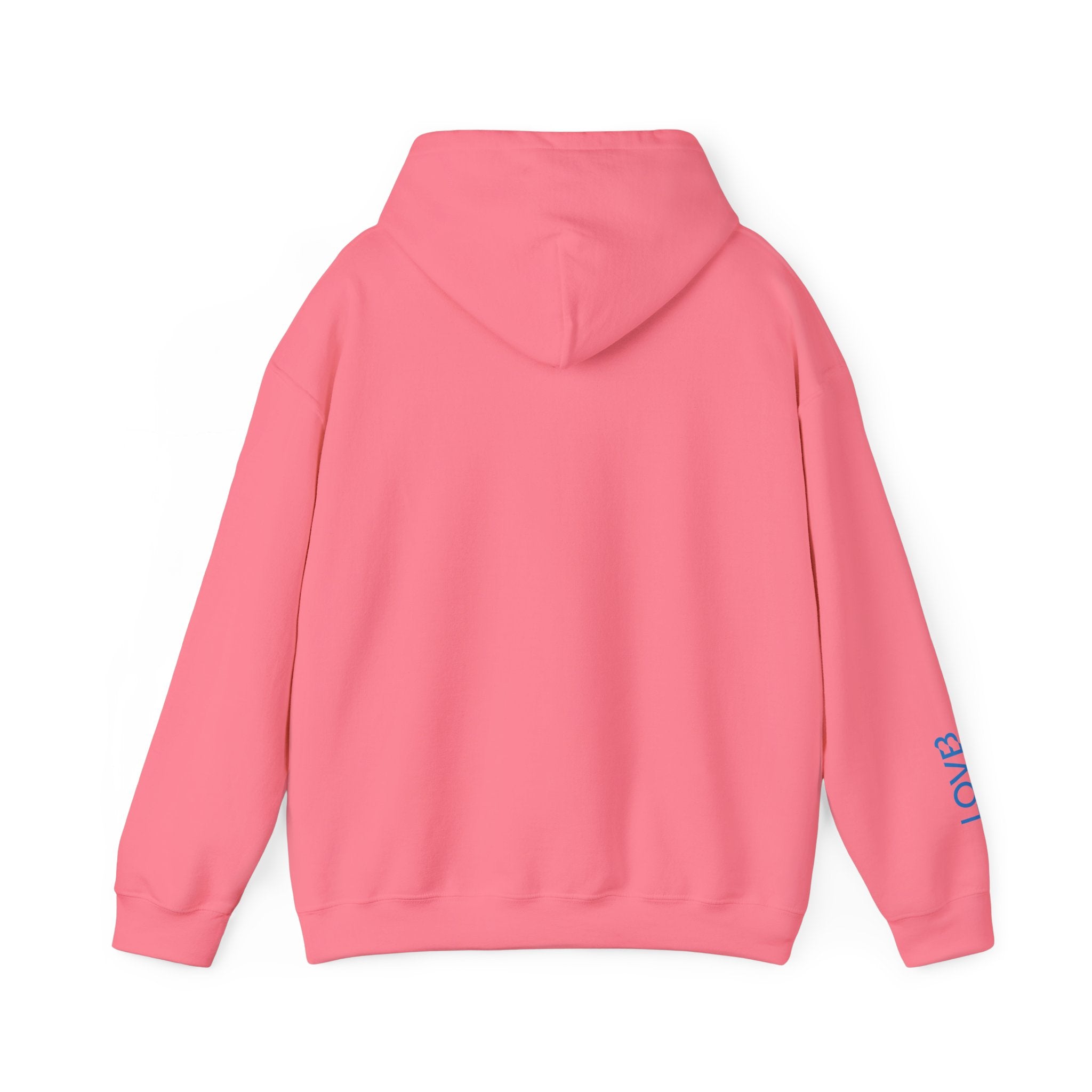 M1 LOVB Hoodie Safety Pink